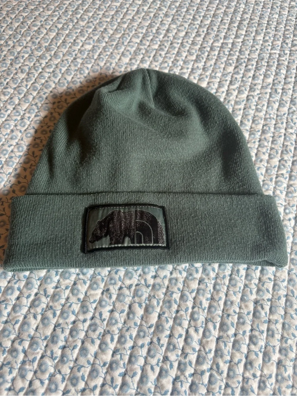 The North Face Knit Beanie in Muted Green
